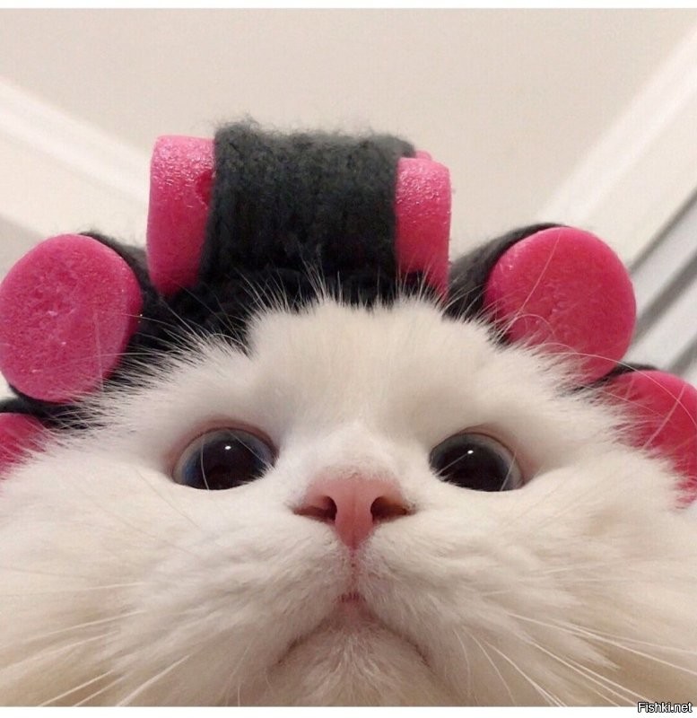 Солянка от 09.11.2022