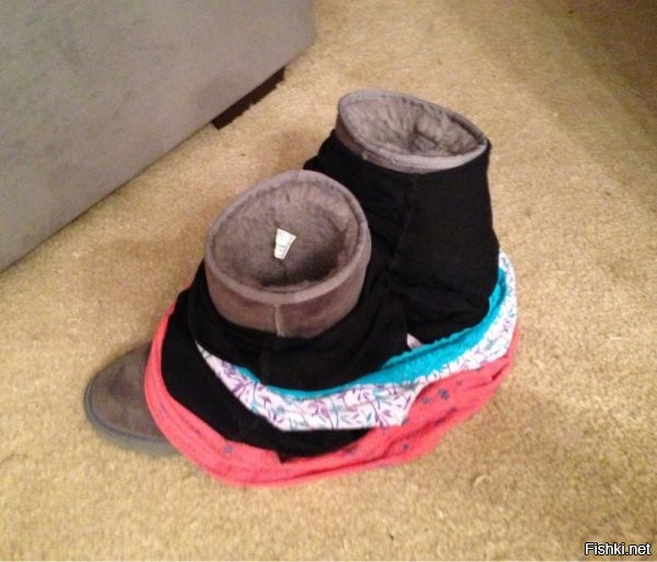 Солянка от 09.11.2022