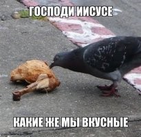 8 страшноватых фактов о животных, которых мы всегда считали очаровашками