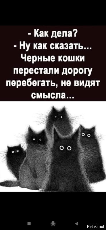 Солянка от 09.11.2022