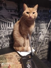 Точь в точь))) По этому и получил второе прозвище - Д.о.е.б.и.с.ь.доног!