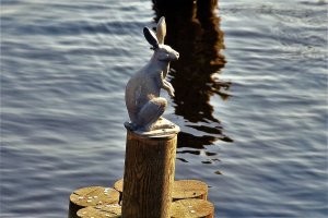 Мистические жители Петербурга