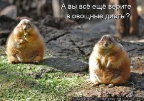 Смешные и познавательные картинки