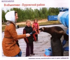 Ещё один пушистик...