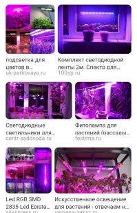 А точно ультрафиолет? 

Может там рассаду-цветочки выращивают.