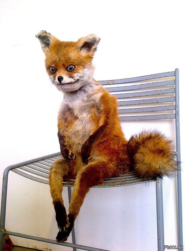 Родственник