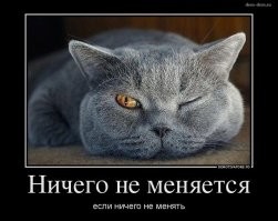 Скрины из соцсетей