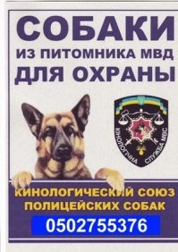 Скрины из соцсетей