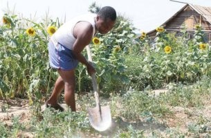 Скрины из соцсетей