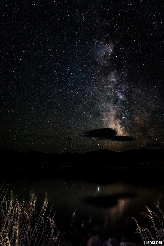 Солянка от 10.11.2022