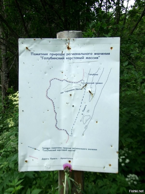 Голубино 2014 год