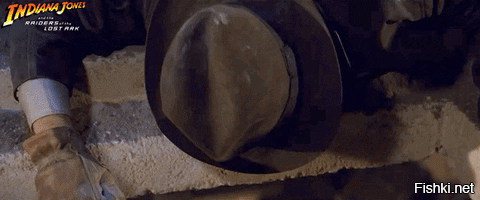 В туалет к австралийцу заползла самая смертоносная змея в мире