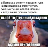 Так вот кто придумал Праздник гуся!