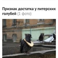 Путешествие из Москвы в Санкт-Петербург - 5