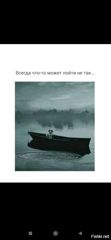 Солянка от 08.11.2022