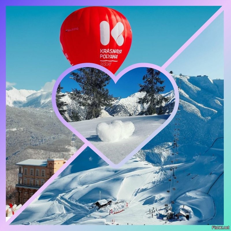 Солянка от 10.11.2022