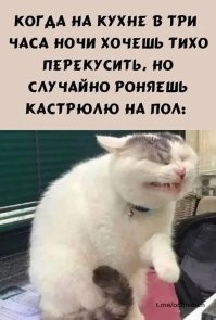 Сынок, сел бы за стол, наложил бы в тарелку, поел как человек, а то сидишь тут на полу ночью и ешь из кастрюли.
-Кто накуренный? Я накуренный??