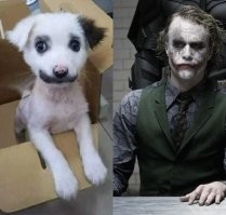 Ржёт? Ну-ну...