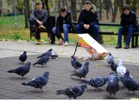 Скрины из соцсетей