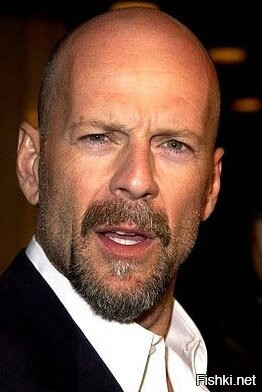 Солянка от 09.11.2022