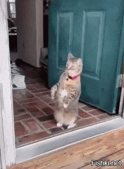 По-джедайски