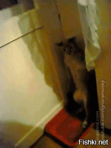 Оригинальные дизайнерские решения