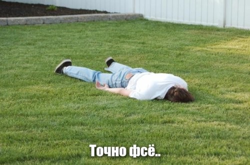 Солянка от 08.11.2022