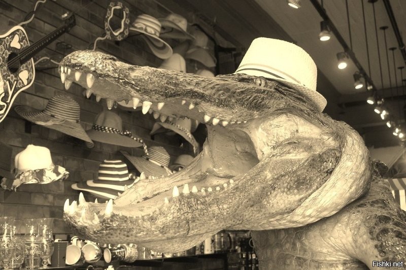 Маскировка