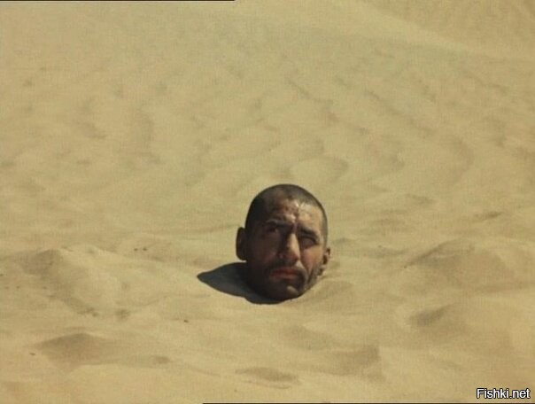 Солянка от 11.11.2022