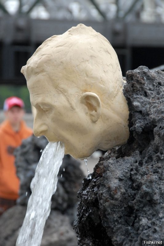 Солянка от 11.11.2022