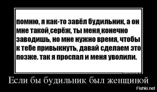 Солянка от 11.11.2022