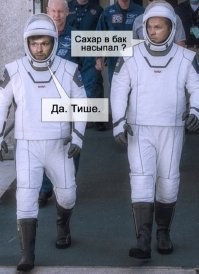 Метеорит упал, убил собаку и сжёг дом