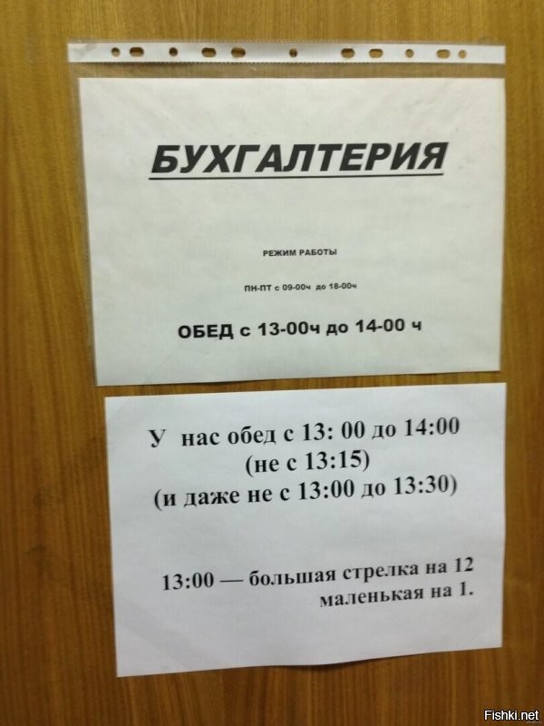 Солянка от 11.11.2022