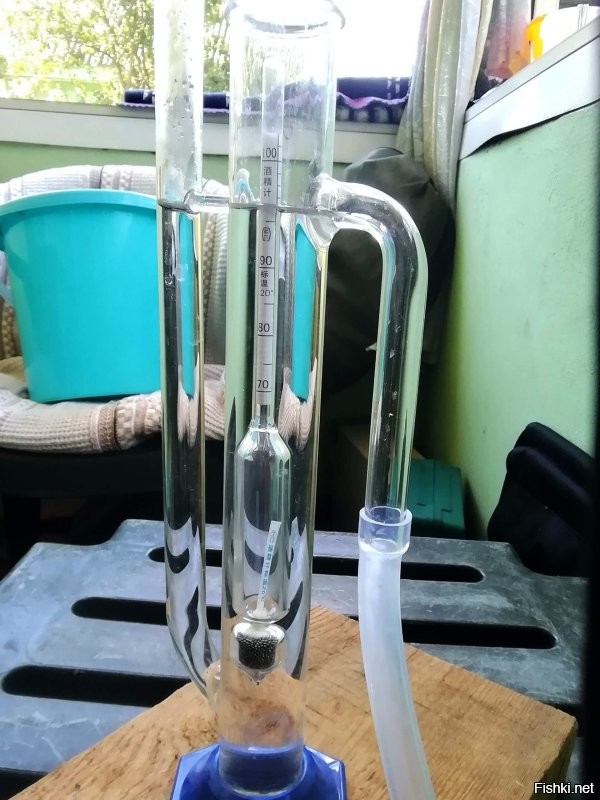 Солянка от 11.11.2022