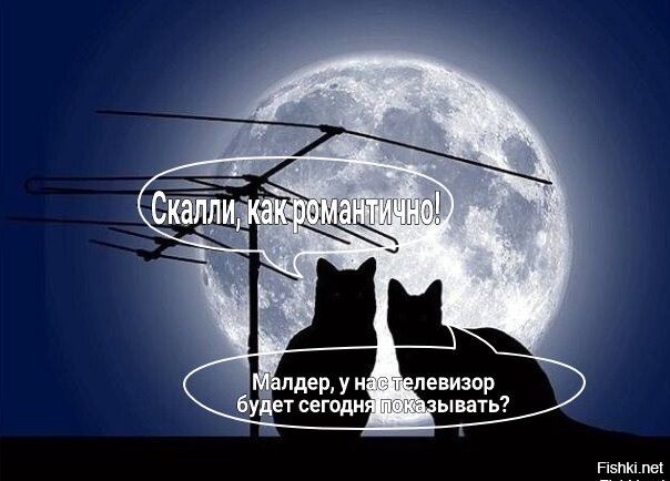 Ты у меня одна, словно в ночи луна