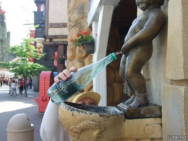 Солянка от 11.11.2022