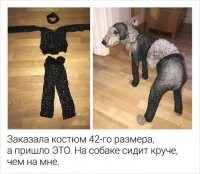 Костюм *ляди?