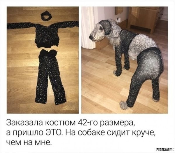 Костюм *ляди?