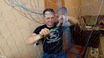 Йожика картинки. Выпуск 237