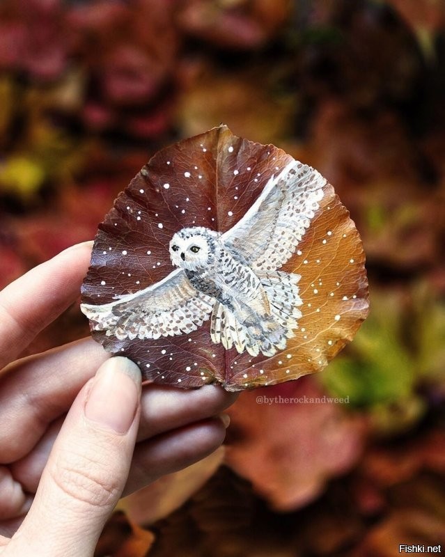 суета неопределённых вещей 