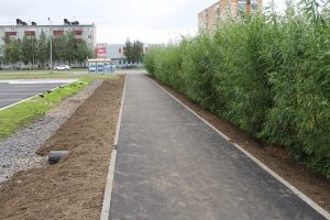 да, на виде конечно водятел, которого спокойно, можно лишать прав, да и Т.С. Но назвать это газоном и тротуаром это тоже лицемерие! вот вам примеры на всякий...