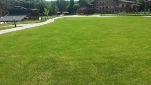 да, на виде конечно водятел, которого спокойно, можно лишать прав, да и Т.С. Но назвать это газоном и тротуаром это тоже лицемерие! вот вам примеры на всякий...