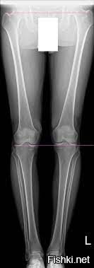 Это вам не смартфоном фоткать