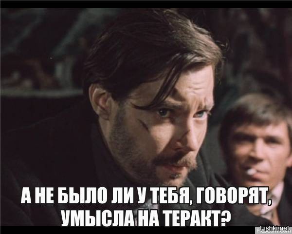 Свинская подстава: в Оренбургской области водитель сбил выбежавшего на дорогу поросёнка