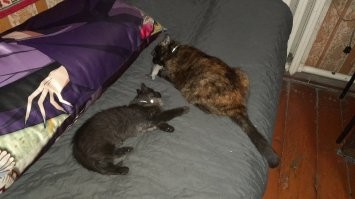 отобрала у малой карася.