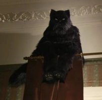 Ну... Не то, что бы начало...