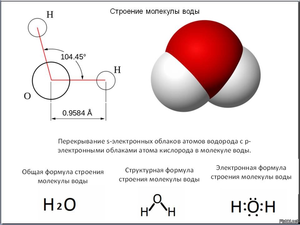 Электронная схема h2o
