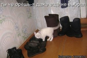 Йожика картинки. Выпуск 238