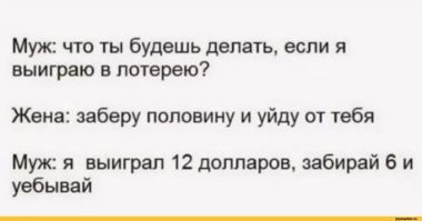 Йожика картинки. Выпуск 238