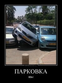 Йожика картинки. Выпуск 238